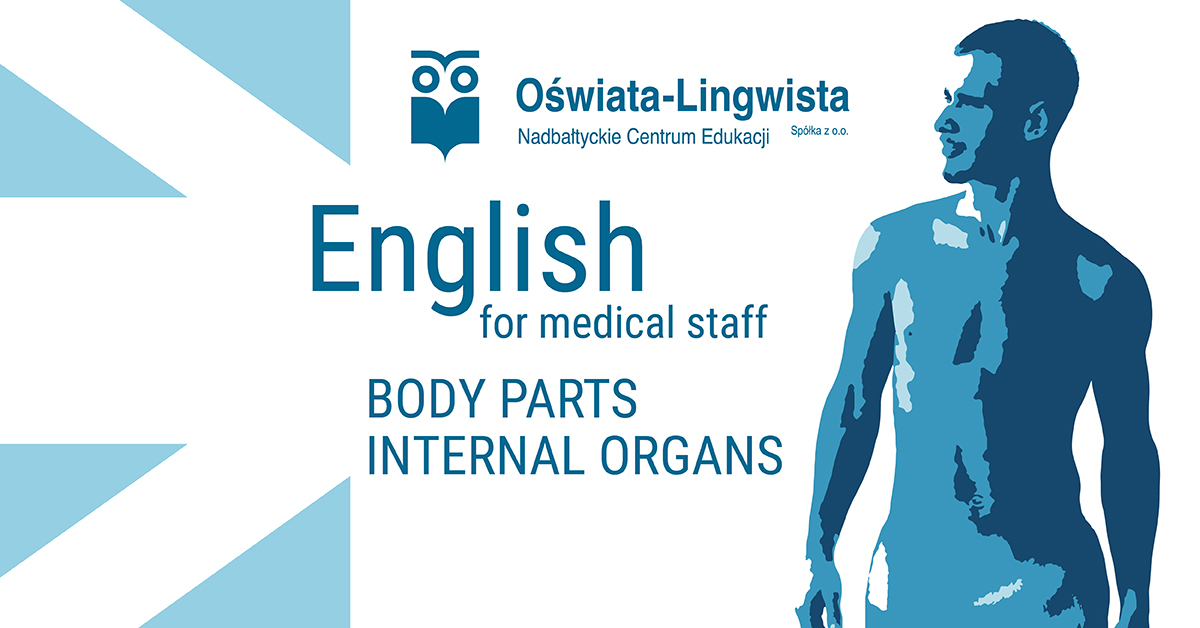 Body parts interial organs